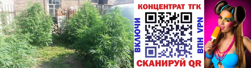 ТГК вейп с тгк  цены   Нерехта 